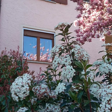 Apartmán Tres Tajanas *